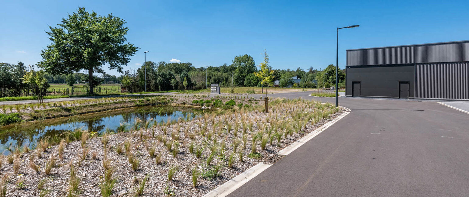 Gremelslo Bedrijvenpark (fase 1) in Maaseik