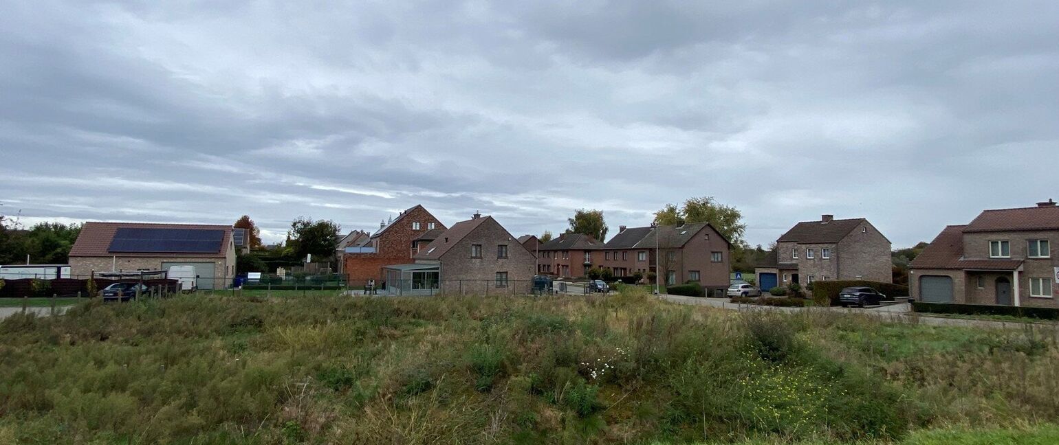 Bouwgrond (projecten) te koop in Borgloon