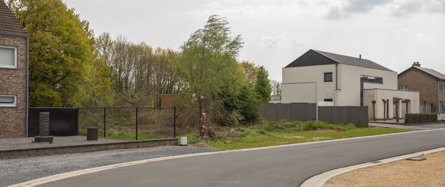 Bouwgrond (projecten) te koop in Maasmechelen