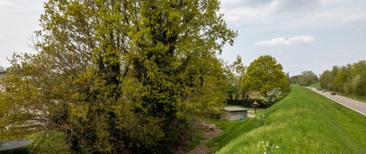 Bouwgrond (projecten) te koop in Maasmechelen