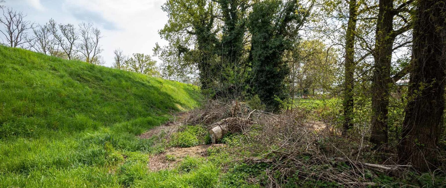 Bouwgrond (projecten) te koop in Maasmechelen