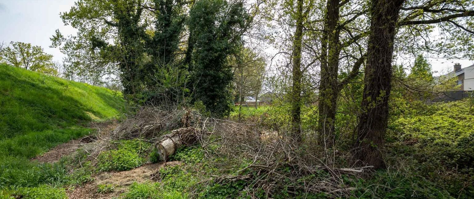 Bouwgrond (projecten) te koop in Maasmechelen