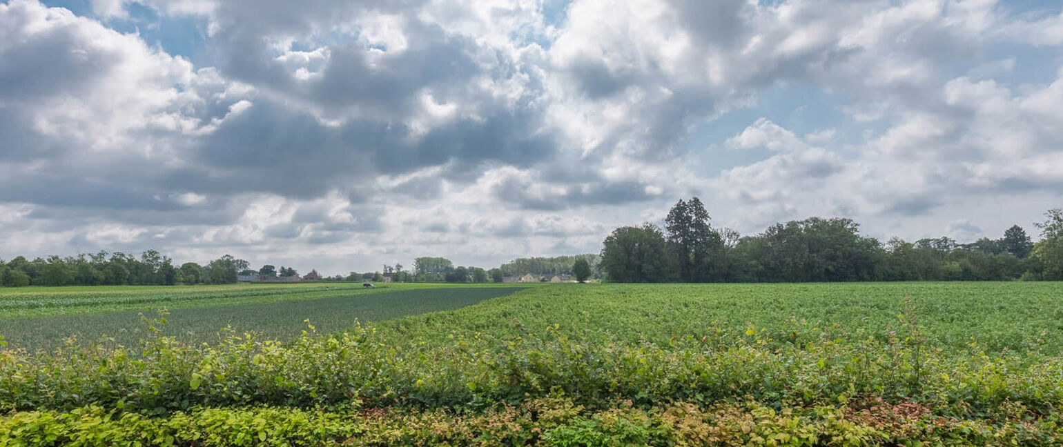 Duplex te koop in Dilsen-Stokkem