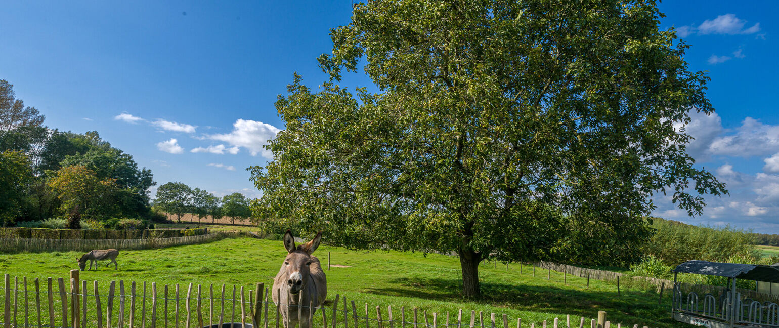 Eengezinswoning te koop in Heers