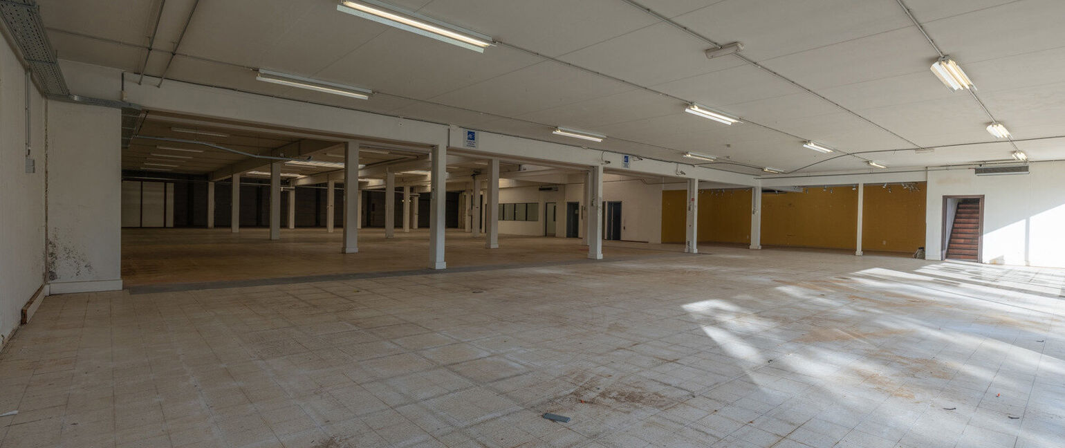 Gebouw voor gemengd gebruik te koop in Maaseik