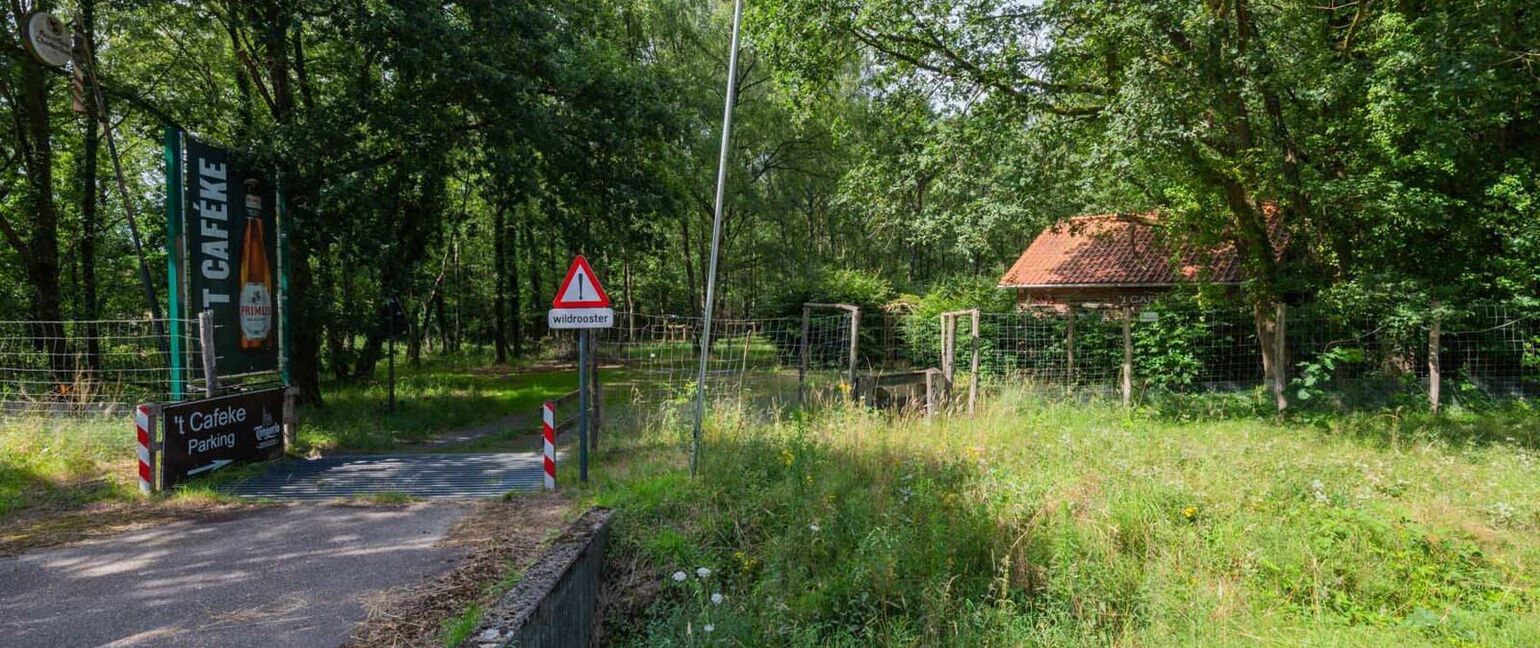 Individuele handelszaak te koop in Dilsen-Stokkem