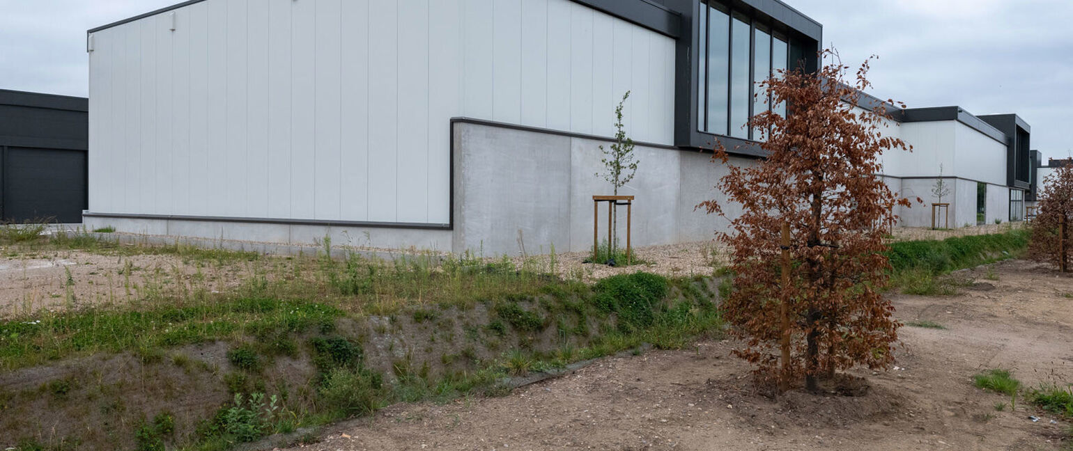 Industrieel gebouw te koop in Dilsen-Stokkem