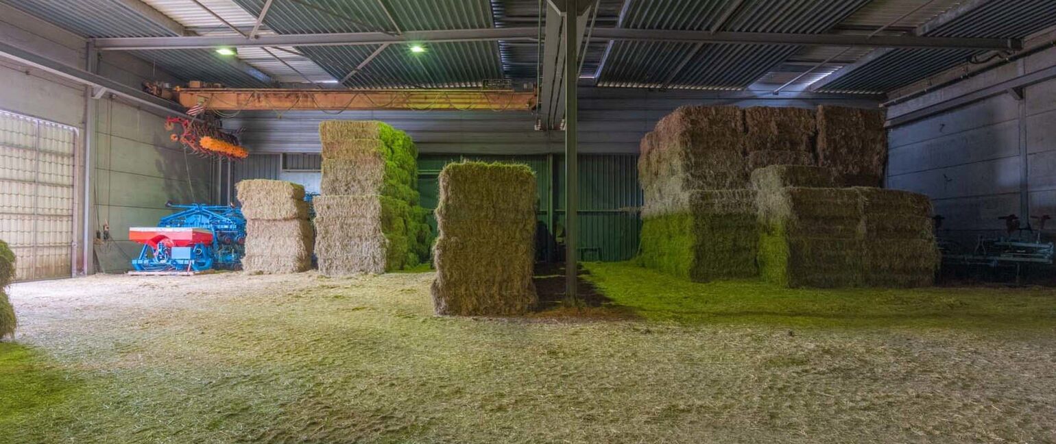 Industrieel gebouw te koop in Maaseik