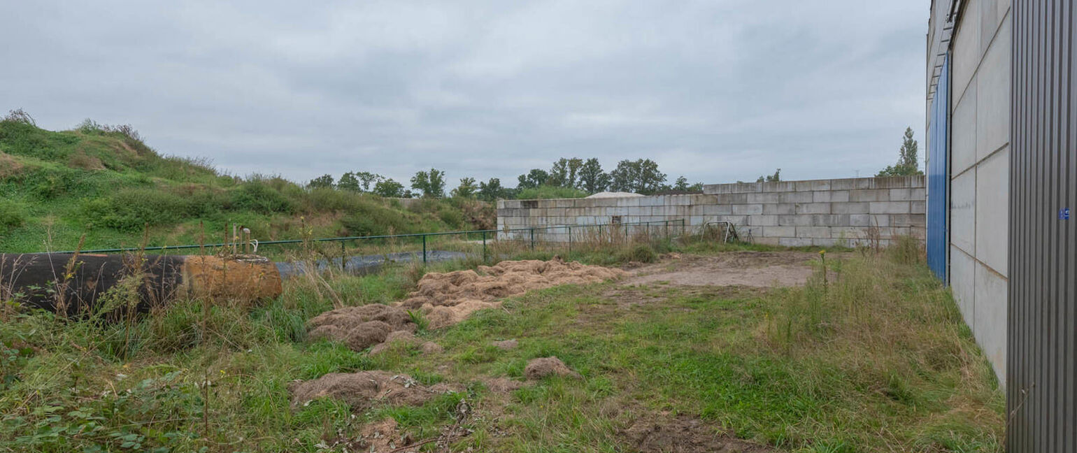 Industrieel gebouw te koop in Maaseik